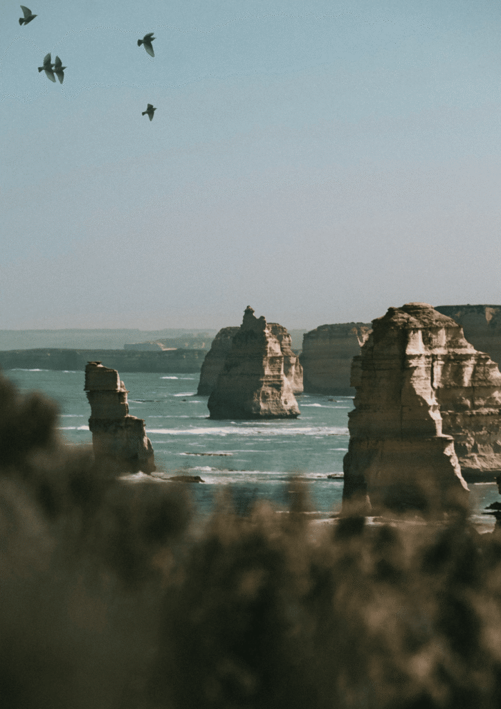 Stimmung Landschaft Melbourne, Meer mit Klippen und Vögel.